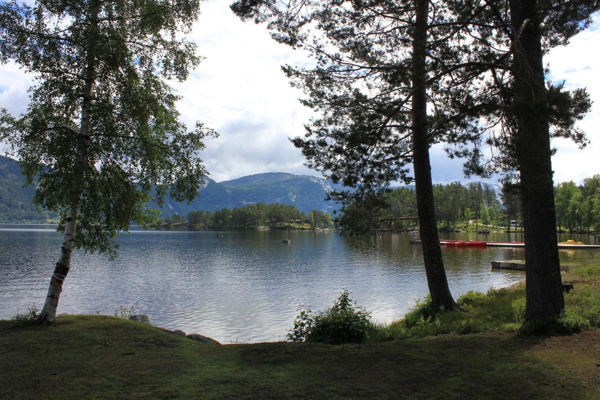 Nisser Hyttegrend Og Camping Fjone Exterior foto